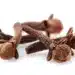 Cloves In Closeup