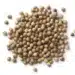 Dried Coriander Seeds