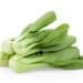 Bok Choy Vegetable On White