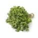 Bunch Of Fresh Picked Marjoram