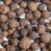 Allspice Jamaica Peppercorns Close Up