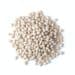White Beans Isolated On White Background