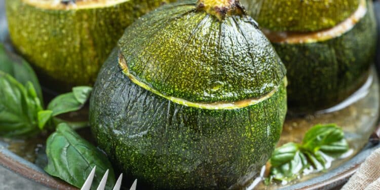Gourmet Zucchini Filled With Tuna And Quinoa