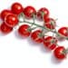 Cherry Tomatoes On Vine, Paths