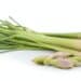 Lemon Grass On White Background