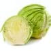Fresh Cabbage