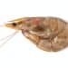 Raw Shrimp