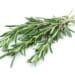 Rosemary