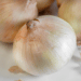 Sweet Onion