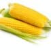 Fresh Sweet Corn