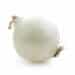 White Onion