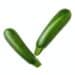 Top View Of Fresh Zucchini