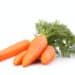 Carrot Vegetable With Leaves