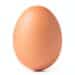 Chicken Egg