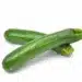 Courgettes