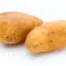A Bio Russet Potato Isolated White Background.