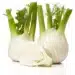Fresh Fennel Bulb Isolated On White Background Close Up