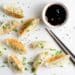 Lucky Chinese New Year Dumplings