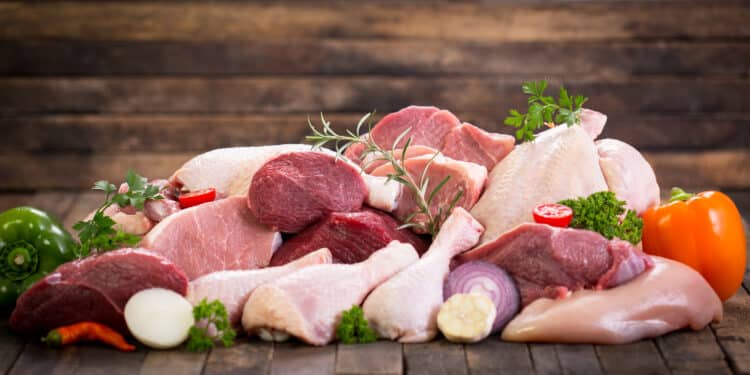 Raw Meat